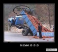 /album/fotogaleria/a527792-243007932469977-73973392-n-jpg/